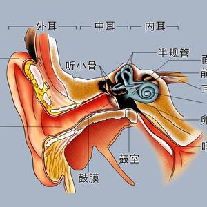 乐天派伯特2h5z头像