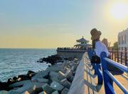 炭烤小肥羊的个人资料头像