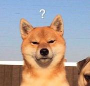 suibianqude名字的个人资料头像