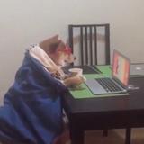 眼前一亮2920头像