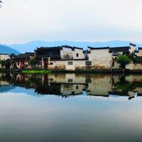 夜雨寄北l头像