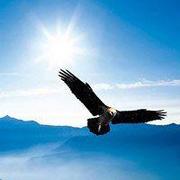 掘金阿君的个人资料头像