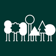 大树林里的小树的个人资料头像