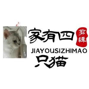 家有四只猫文案馆头像