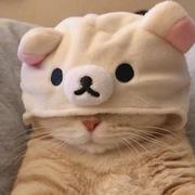 CheeryZ的个人资料头像