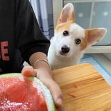老萌心头像