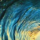 YoungShaw的个人资料头像