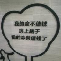 初心10283头像