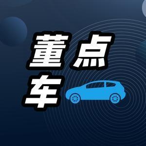 董点車头像