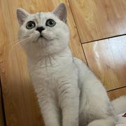 刘小小的个人资料头像