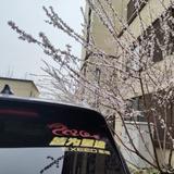 酒痕莫拾头像