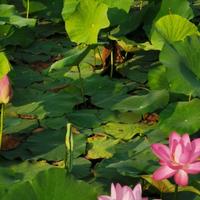 用户8571160052684头像