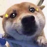 你看个嘚头像