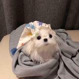 kbjghfkbtf头像