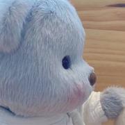 这颗无价的个人资料头像