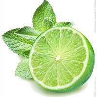 寰球小蚂蚁头像