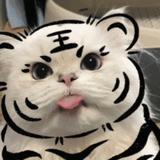 一念已半生头像