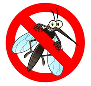 有蚊子的个人资料头像