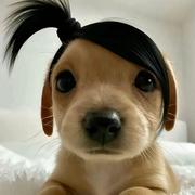 喜欢别表白直接吻的个人资料头像