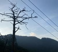 唐僧遇到爱头像