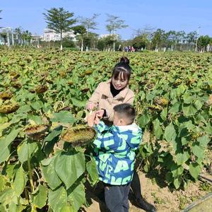 安安妈在深圳头像