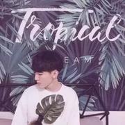 坠入星辰的个人资料头像