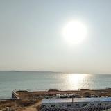 道成曲欢趣头像