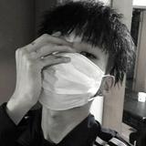 木已成洲893头像
