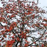 随缘的满足头像