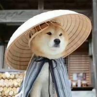 伏特566头像