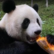 热勇345的个人资料头像