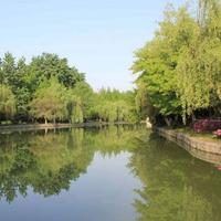 越努力悦幸运658头像