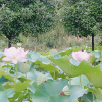 用户2520807339118头像