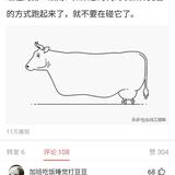 森林呱呱头像