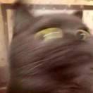 我要加入车队的个人资料头像