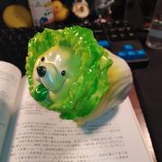 菜狗627的个人资料头像