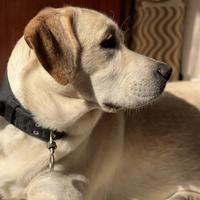 我想不是我l头像