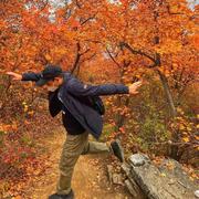 CL600的个人资料头像