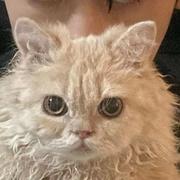 季风561的个人资料头像