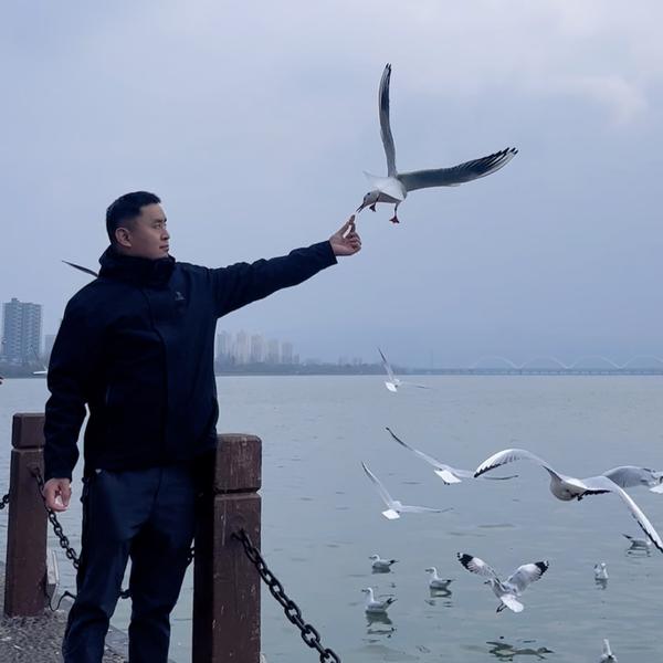 北京风速东村家园店头像