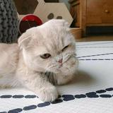 4499无心头像