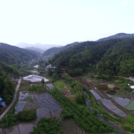 山古随风头像