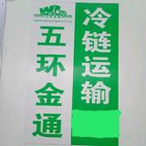 征服者头像