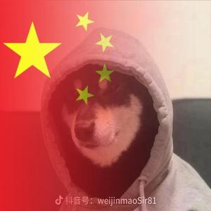 聪明可乐94头像