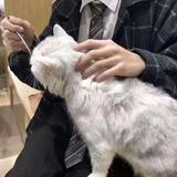 晚晖头像