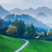 海盐芝士不加糖的个人资料头像