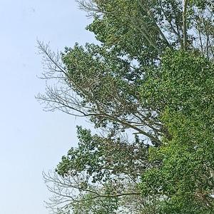 张志勇头像