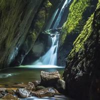 惠泉清奇林壑幽头像