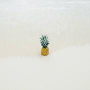 爱喝酸奶的小孩的个人资料头像