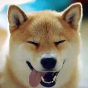 书雨的个人资料头像